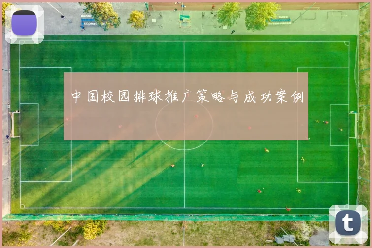 中国校园排球推广策略与成功案例